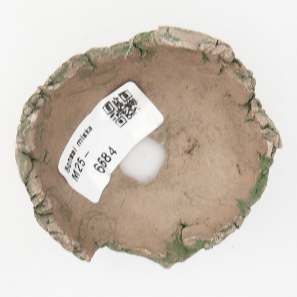 Keramická mušľa 7 x 7 x 4 cm , farba zelená