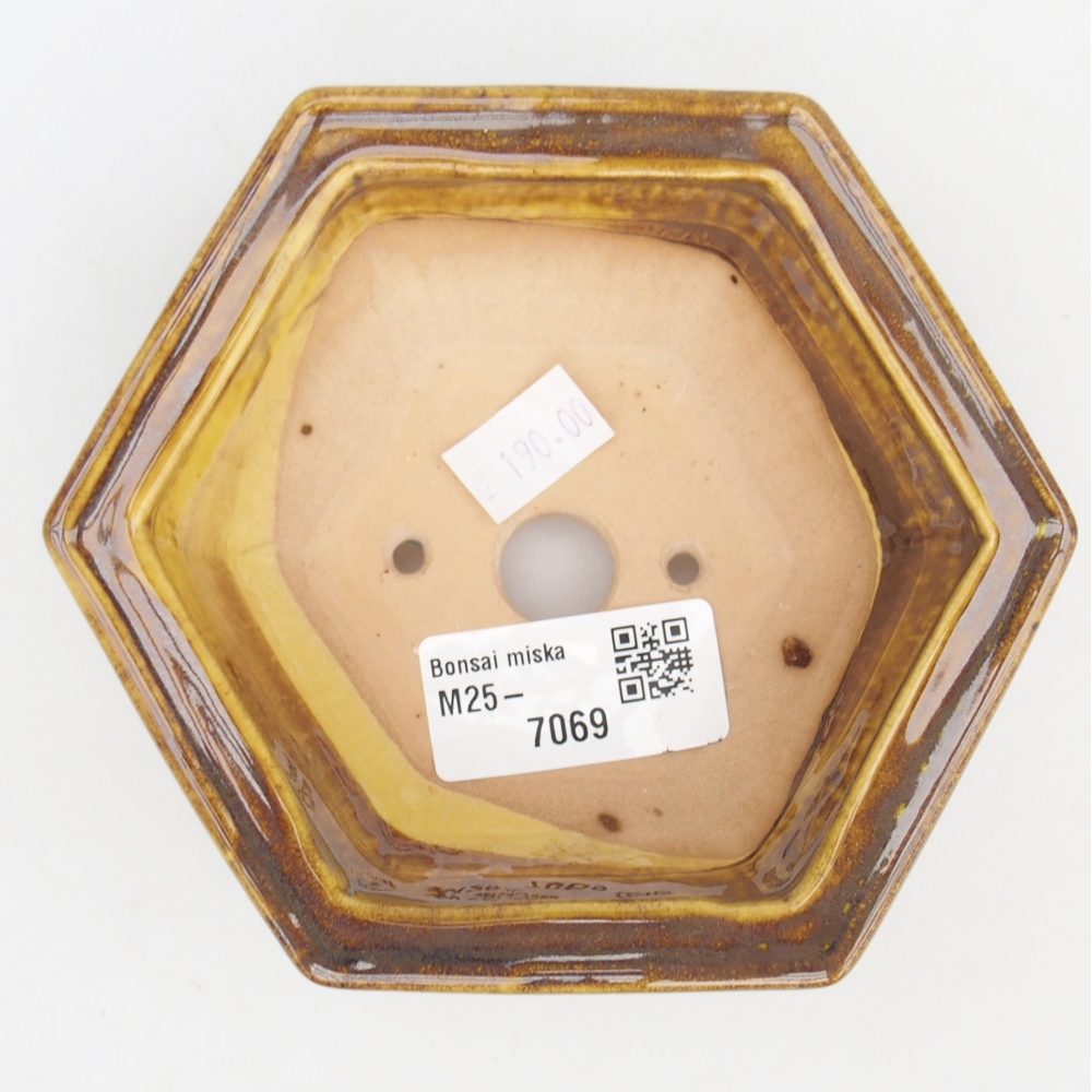 Keramická miska na bonsaje 12 x 10,5 x 4,5 cm, žltá