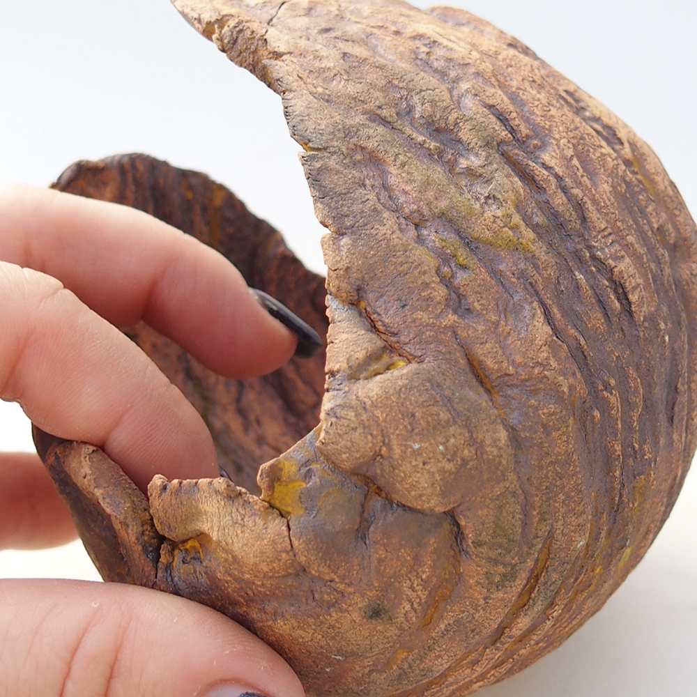 Keramická mušľa 10 x 9,5 x 10 cm , farba hnedá