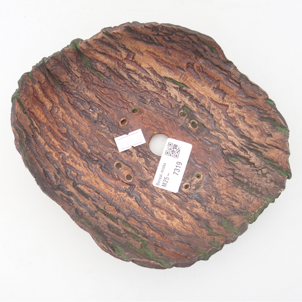 Keramická mušľa 20 x 16 x 6,5 cm , farba zelená