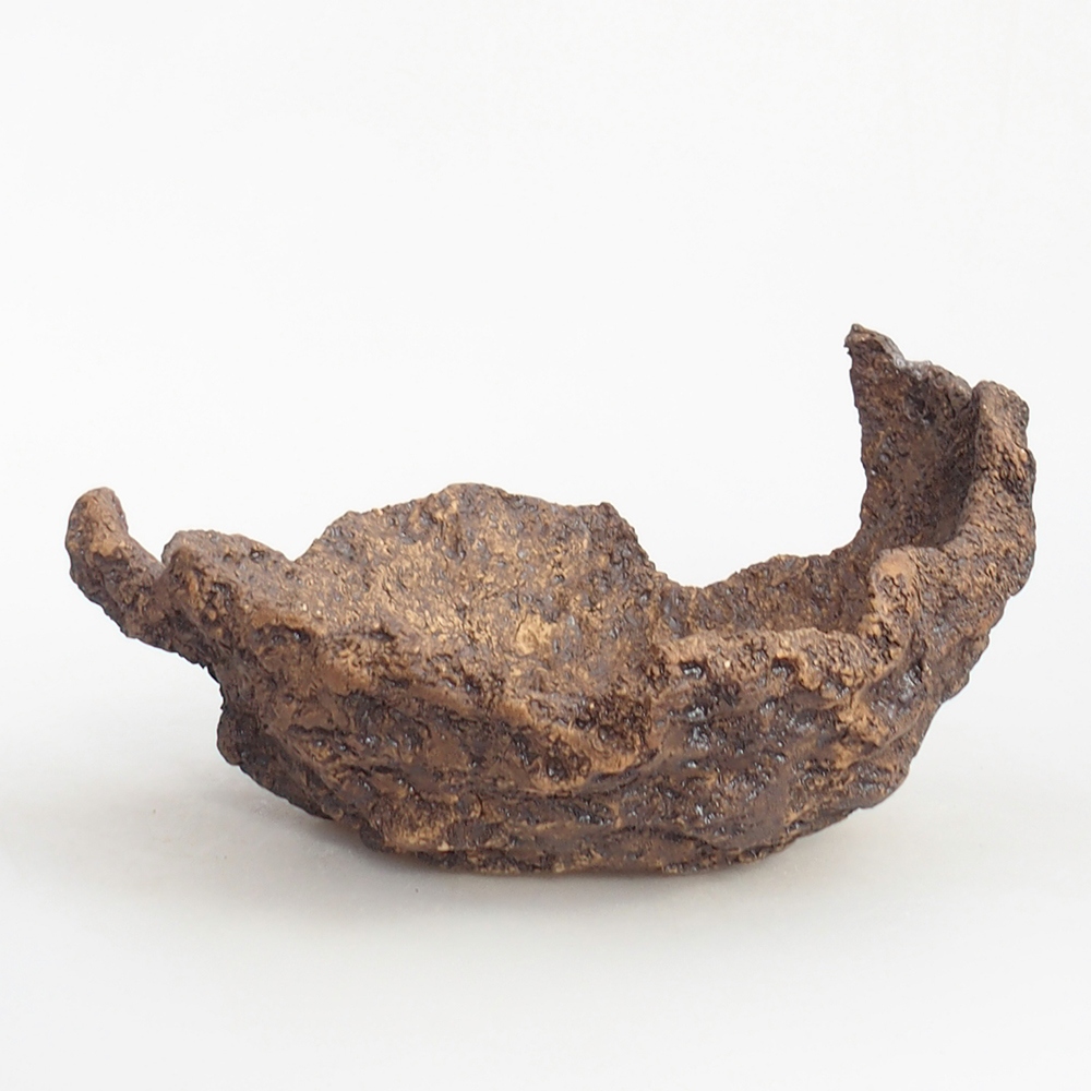 Keramická mušľa 19 x 15 x 14 cm , farba hnedá