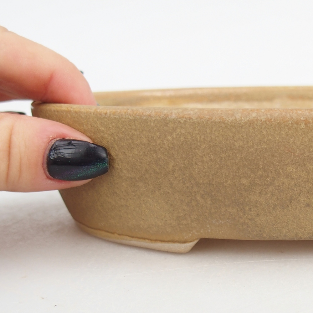 Keramická miska na bonsaje 17 x 14 x 4 cm, farba béžová