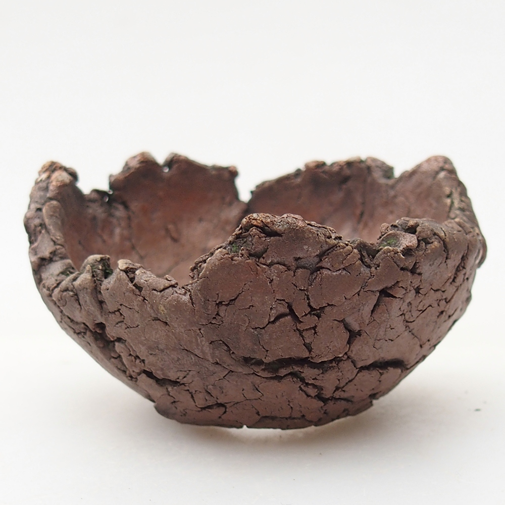 Keramická mušľa 7 x 7 x 4 cm , farba zelená