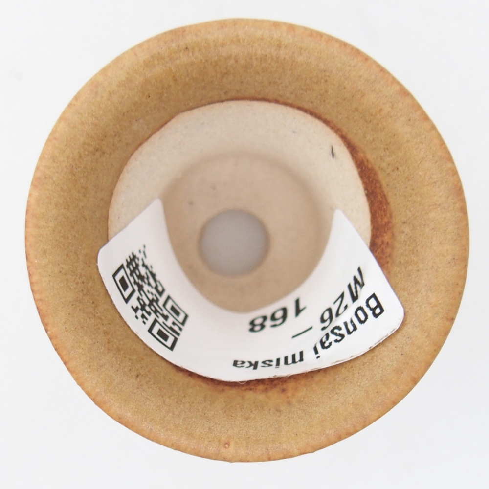 Mini bonsajová miska 4,5 x 4,5 x 4 cm, hnedá