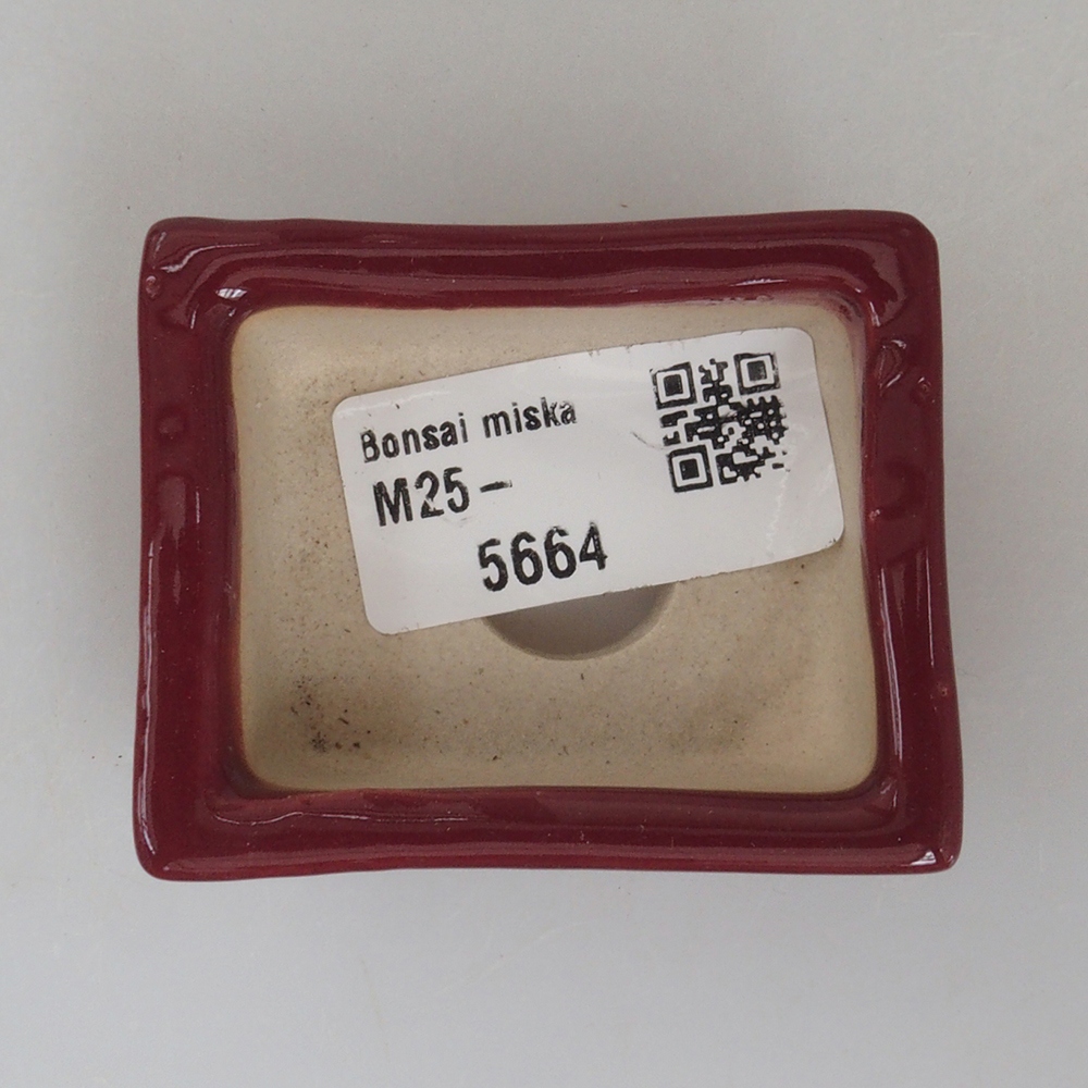 Mini bonsai miska 6 x 4,5 x 2 cm, farba vínová