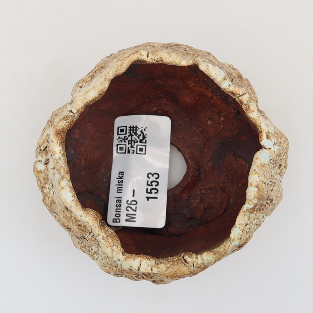 Keramická škrupina  5,5 x 5,5 x 5,5 cm, farba béžovo-hnedá