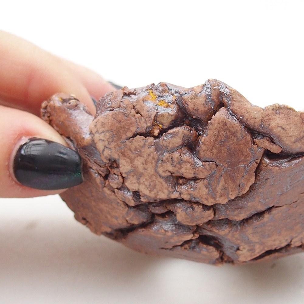 Keramická mušľa 9 x 8,5 x 4,5 cm , farba hnedá