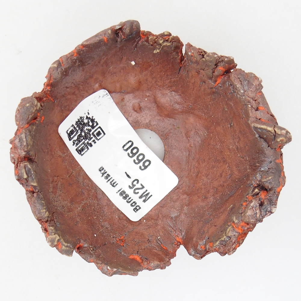 Keramická mušľa 7 x 7 x 4 cm , farba oranžová