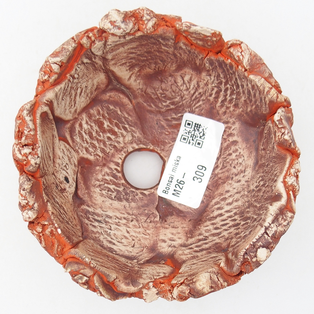 Keramická mušľa 11 x 11 x 6 cm , farba oranžová