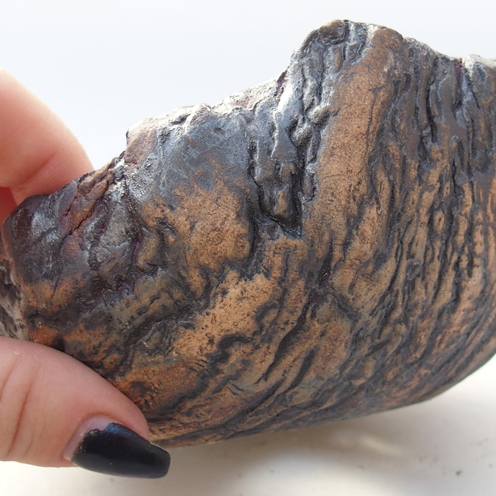 Keramická mušľa 13,5 x 12,5 x 7,5 cm , farba hnedá