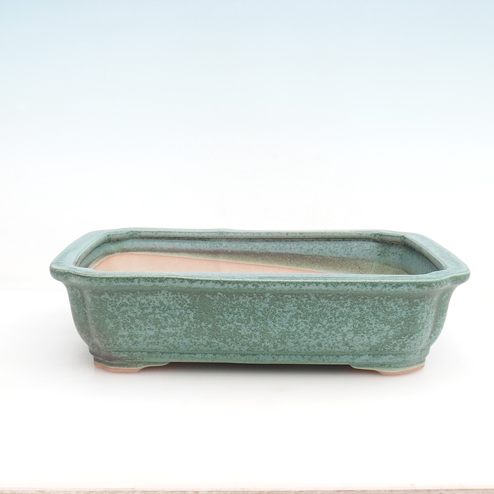 Miska na bonsaj + tanier H20 - 26,5 x 21,5 x 6,5 cm. - zelená