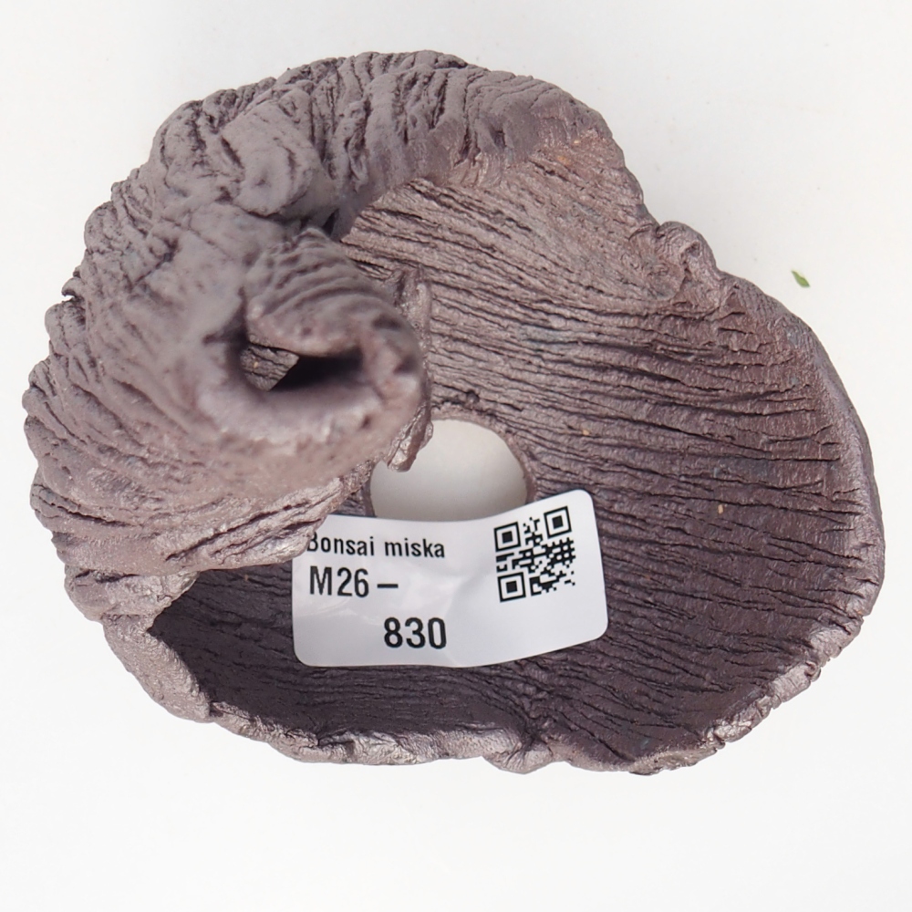 Keramická mušľa 8 x 9 x 12,5 cm , kovová farba