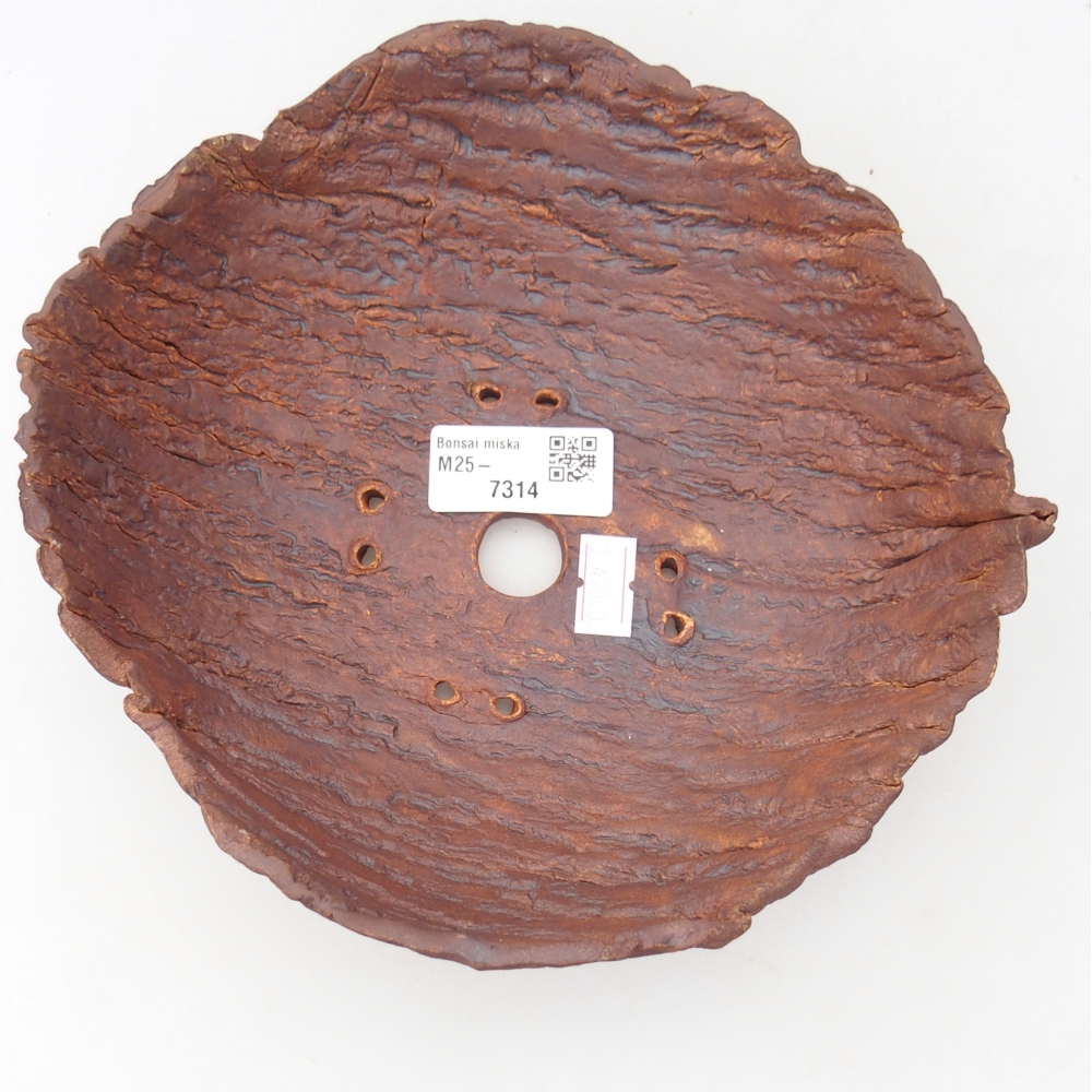 Keramická mušľa 19 x 19 x 6,5 cm , farba hnedá