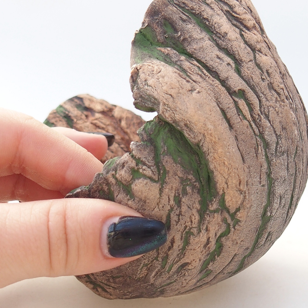 Keramická mušľa 12 x 9,5 x 11 cm , farba zelená