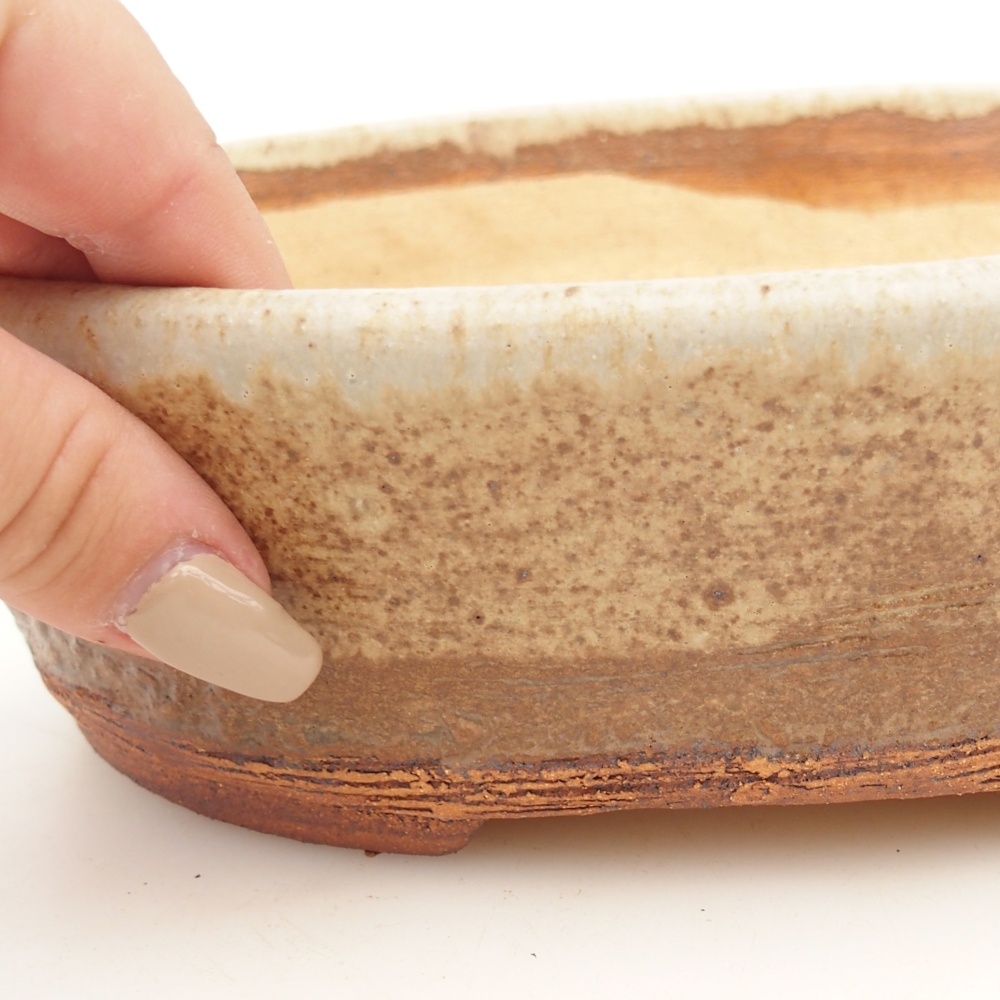 Miska na bonsaj 20 x 16 x 6,5 cm , farba béžová