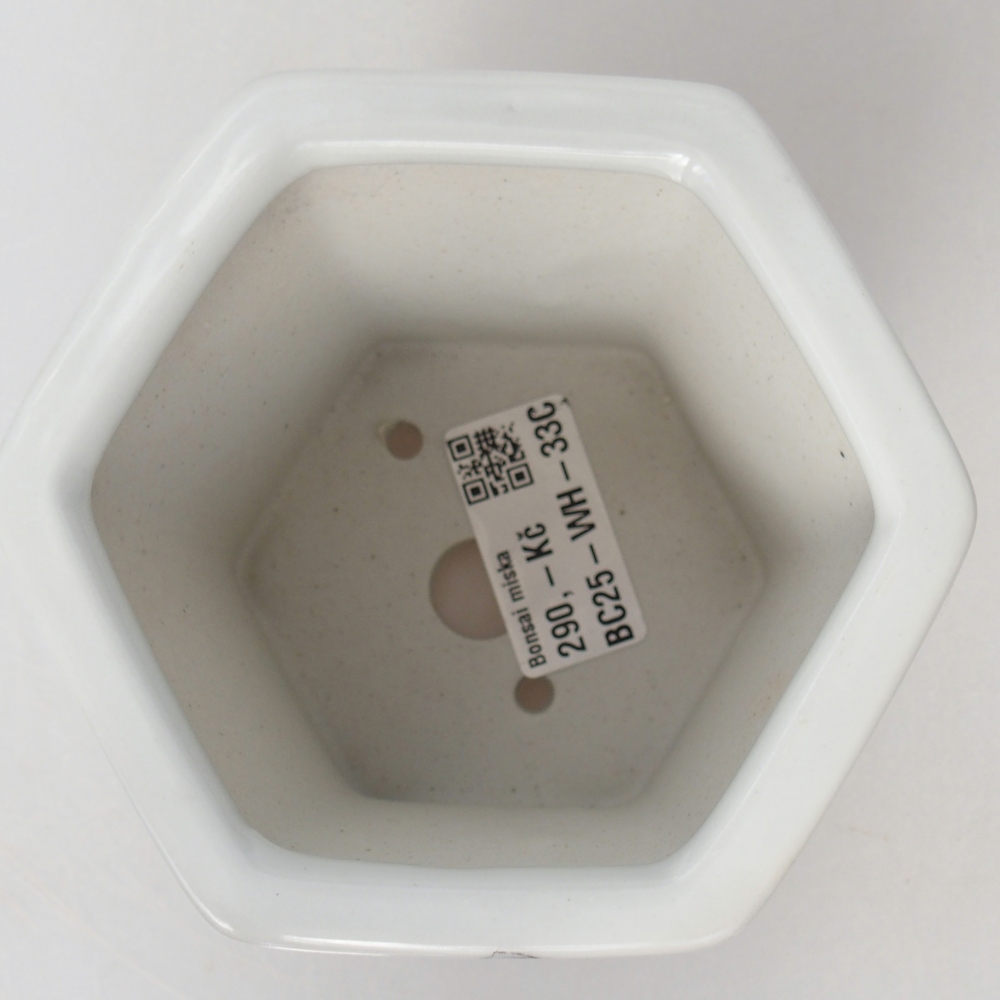 Keramická miska na bonsaje 10,5 x 9,5 x 9 cm, farba biela