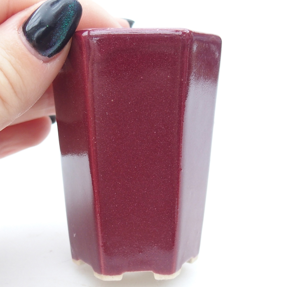 Mini bonsajová miska 5 x 4,5 x 6,5 cm, bordová