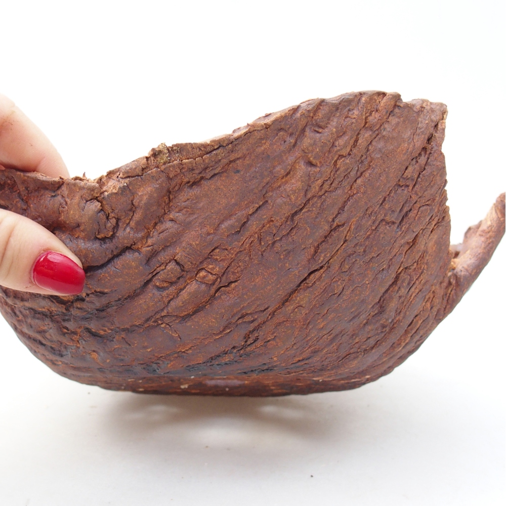 Keramická mušľa 20 x 20 x 8 cm , farba hnedá