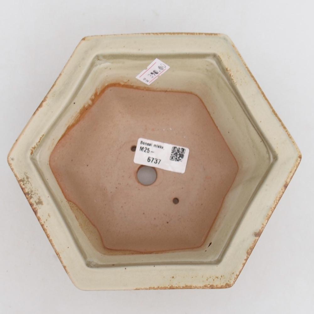 Keramická miska na bonsaje 18,5 x 16,5 x 9 cm, zelená