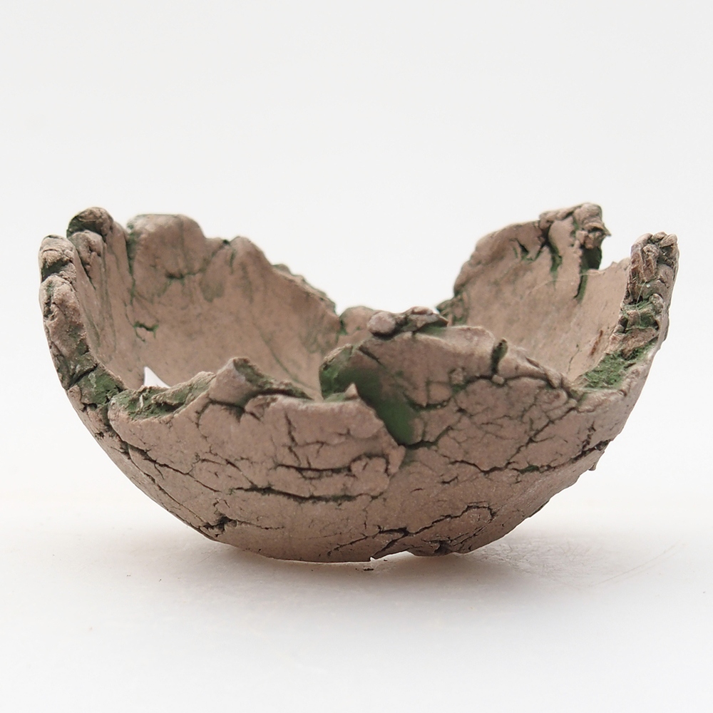 Keramická mušľa 7 x 7 x 4 cm , farba zelená