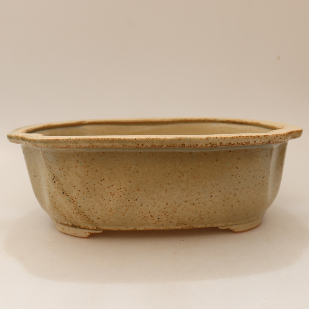 Keramická miska na bonsai 22,5 x 17,5 x 7,5 cm, farba béžová