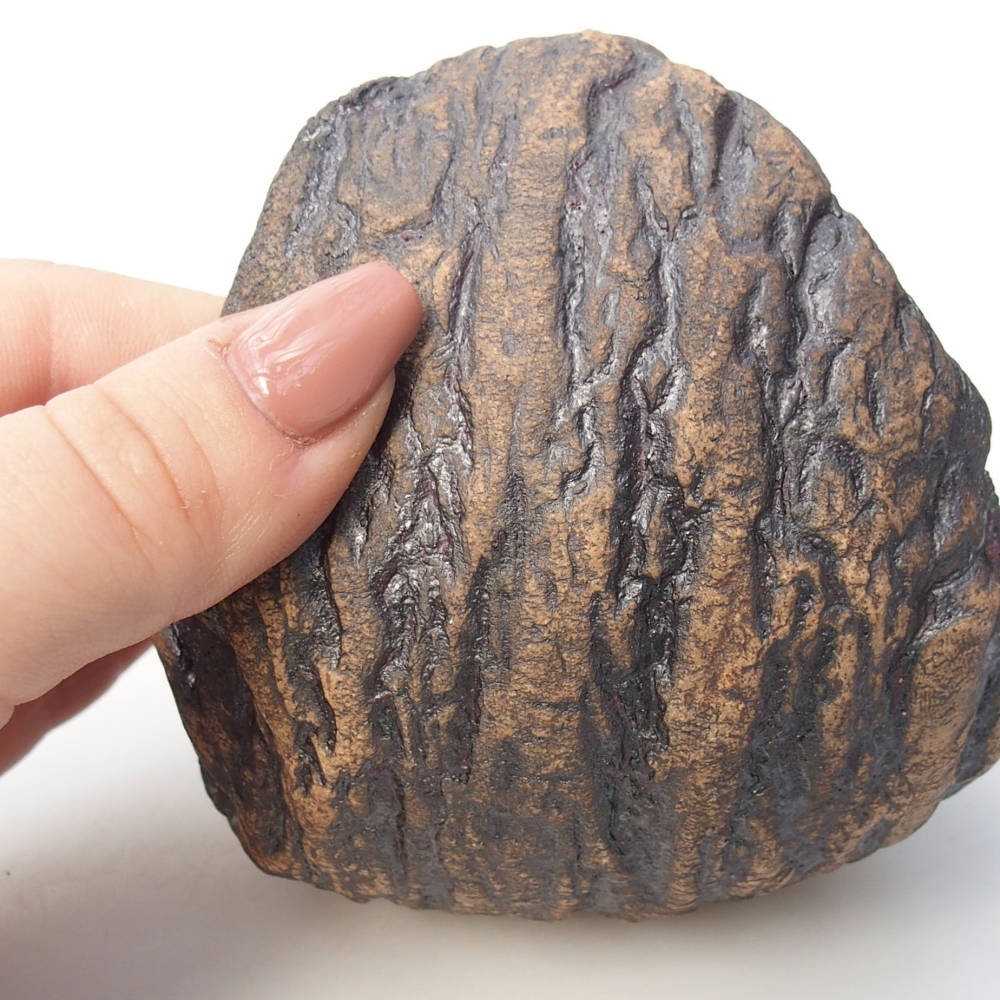 Keramická mušľa 10 x 9 x 10 cm , farba hnedá