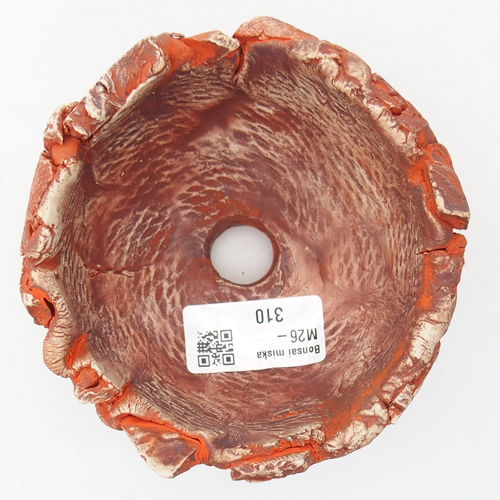 Keramická mušľa 11 x 11 x 6,5 cm , farba oranžová