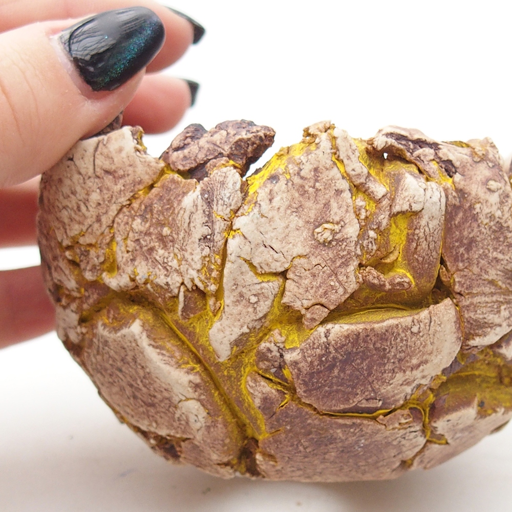 Keramická mušľa 9,5 x 9 x 7 cm , farba žltá