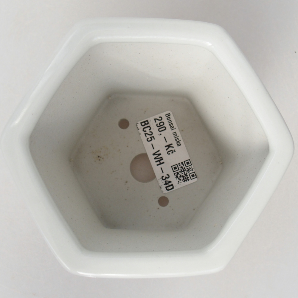 Keramická miska na bonsaje 10,5 x 9,5 x 9 cm, farba biela