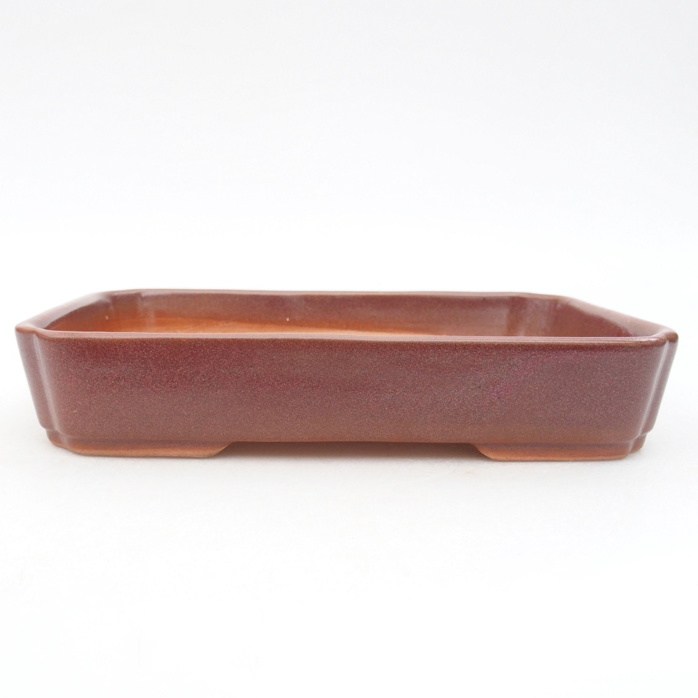 Keramická bonsai miska 18 x 13 x 3 cm, farba vínová