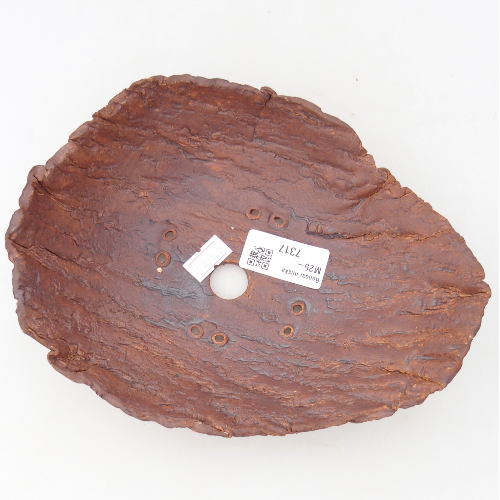 Keramická mušľa 20 x 15 x 6 cm , farba hnedá