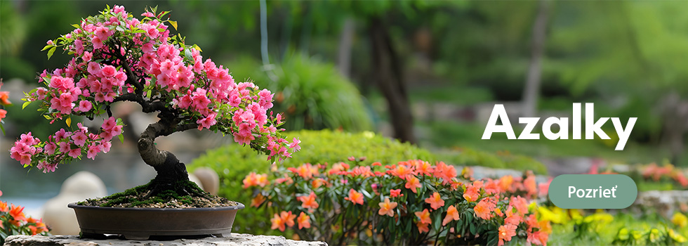 Azalky