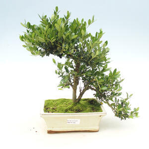 Keramická bonsai miska 9,5 x 9,5 x 12,5 cm, barva hnědomodrá
