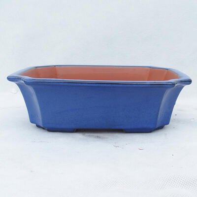 Bonsai miska 22 x 17,5 x 6 cm, farba modrá - 1