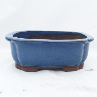 Bonsai miska 30 x 25 x 10 cm, farba modrá - 1