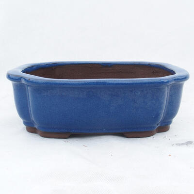 Bonsai miska 24 x 19 x 7,5 cm, farba modrá - 1