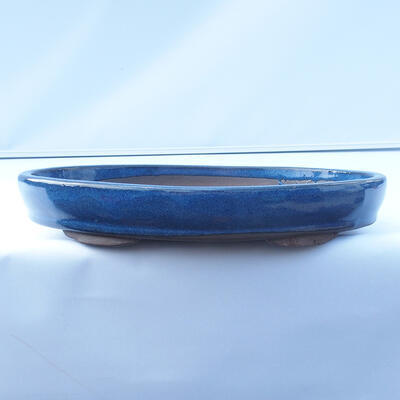 Bonsai miska 31 x 22 x 5 cm farba modrá - 1
