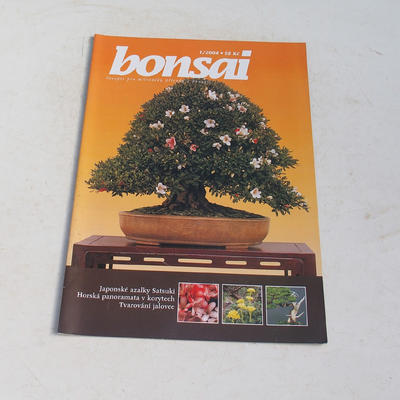 časopis bonsaj - CBA 2004-1
