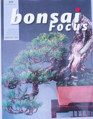 Bonsai focus - holandsky č.121 - 1