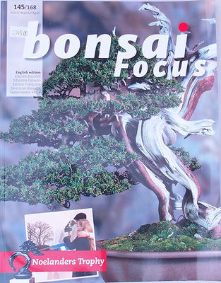 Bonsai focus - anglicky č.145 - 1