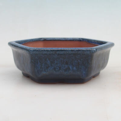 Bonsai miska 16 x 14 x 5 cm, farba modrá - 1