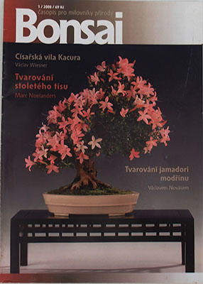 časopis bonsaj - CBA 2008-1