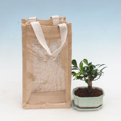 Izbová bonsai v darčekovej taške - JUTA, Fikusy-Ficus retusa