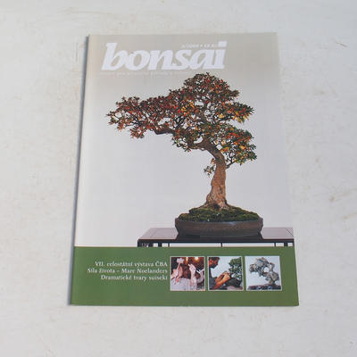 časopis bonsaj - CBA 2004-3