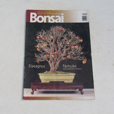 časopis bonsaj - CBA 2009-3
