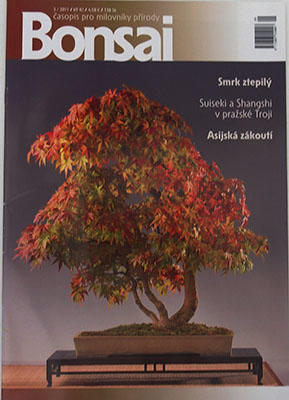 časopis bonsaj - CBA 2011-3