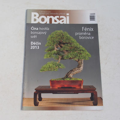 časopis bonsaj - CBA 2013-4