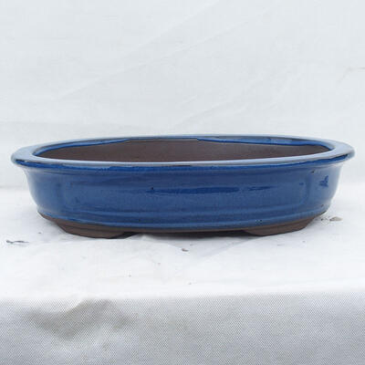Bonsai miska 51 x 41 x 10 cm, farba modrá - 1