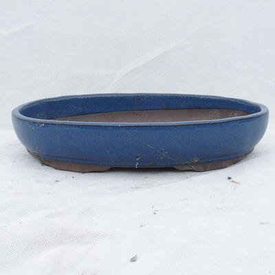 Bonsai miska 31 x 21 x 4,5 cm, farba modrá - 1