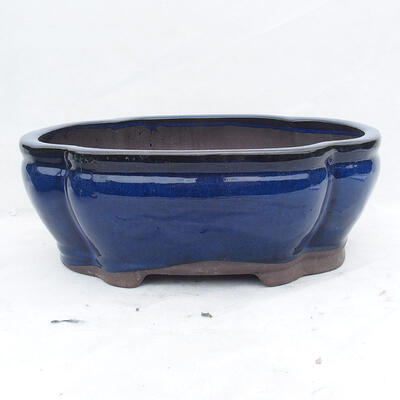Bonsai miska 41 x 33 x 15 cm, farba modrá - 1